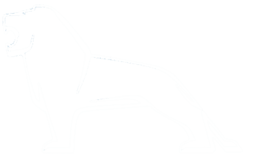 MAN-truck-leeuw-lion-icon-logo